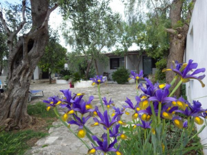 B&B Masseria Liberatore Mattinata
